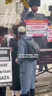 מוסלמי מנשק יהודים שתומכים בפלסטין. ארצות הברית...