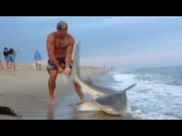 צפו: נאבק עם כריש בגודל 2 מטר