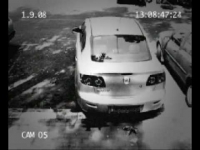 צפו: גנב רכב מקצועי נתפס במצלמת אבטחה
