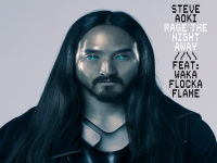 Steve Aoki ft. Waka Flocka Flame - Rage The Night Away