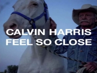 Calvin Harris - Feel so Close