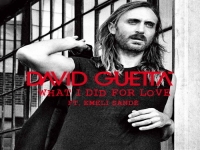 David Guetta ft Emeli Sande - What I Did For Love
