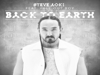 Steve Aoki feat. Fall Out Boy - Back To Earth