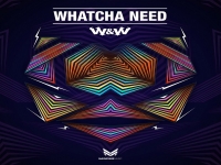 W&W - Whatcha Need