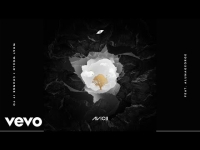 Avicii ft. AlunaGeorge - What Would I Change It To