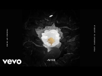 Avicii ft. Vargas & Lagola - Friend Of Mine