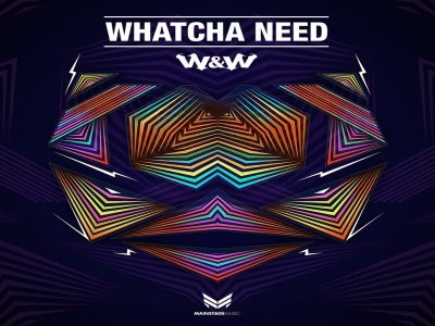 W&W - Whatcha Need