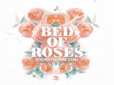 Afrojack ft. Stanaj - Bed Of Roses