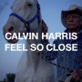 Calvin Harris - Feel so Close