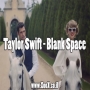 Taylor Swift - Blank Space