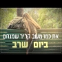 עומר אדם - אחרי כל השנים