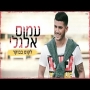 עמוס אלגלי - לקום בבוקר