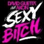 David Guetta Feat Akon - Sexy Bitch