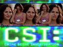 תמונת רקע CSI - Crime Scene Investigatio