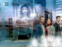 CSI NY