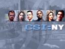 CSI NY