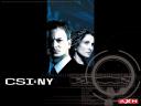 תמונת רקע CSI NY