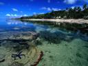 רקעים Fiji Islands
