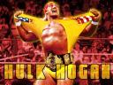 hulk hogan