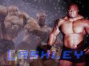 lashley