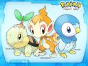 רקעים Pokemon-Starters