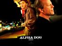 רקעים Alpha Dog