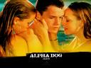 תמונת רקע Alpha Dog