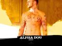 רקעים Alpha Dog