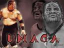 Umaga