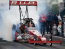 Budweiser Top Fuel Dragster