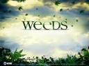 רקעים Weeds