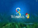 Microsoft Windows 8