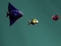 משחקי רשת Big Fish דג גדול Big Fish דג גדול