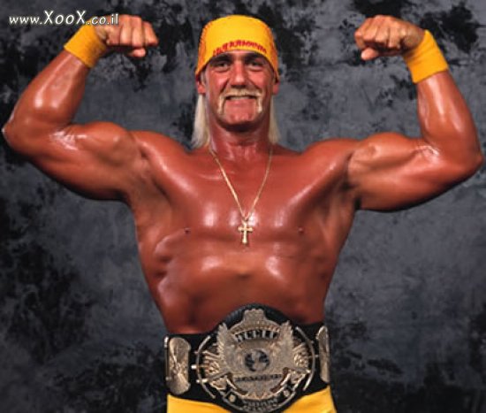 Hulk Hogan