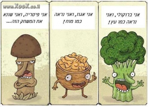 כל מאכל דומה למשהו