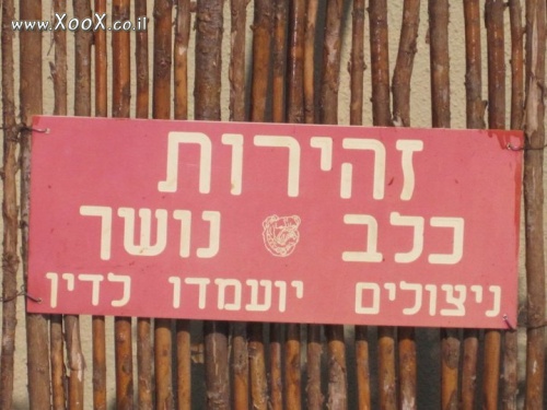 מעניין מה העונש לניצולים