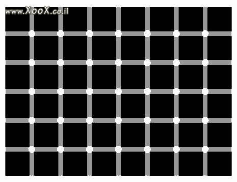 תמונת מצליחים לספור את הנקודות השחור