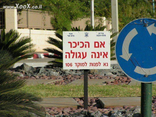 תמונת זה שבנה לא יודע אם הכיכר עגולה