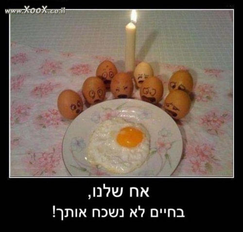 תמונת לזכר הביצה