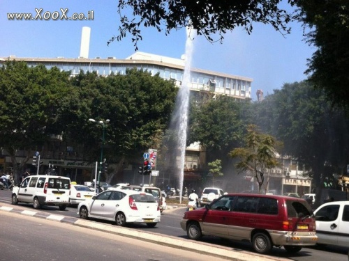 לוויתן מתחת לקרליבך בת"א?