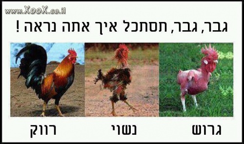 איך הגבר נראה?