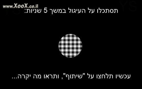 עיגול 5 שניות