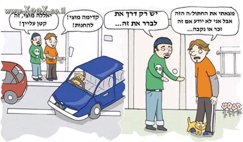 תמונת איך בודקים אם זה זכר או נקבה?