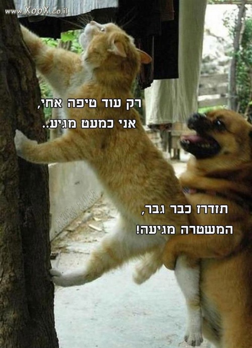 תמונת חברים לפשע