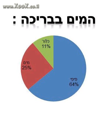 המים בבריכה