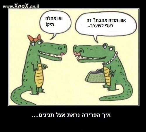 תמונת תיק תנין