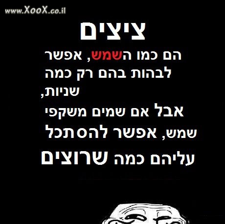 יש בזה משהו