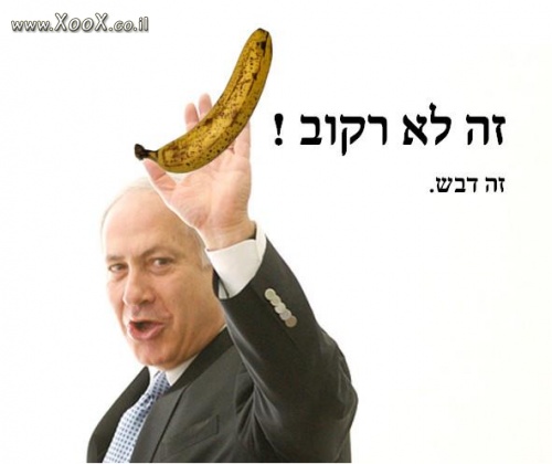 תמונת זה לא רקוב