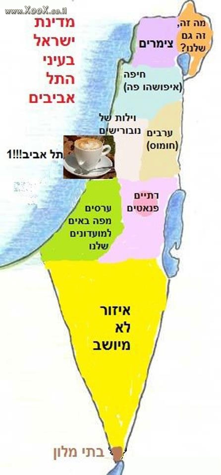 תמונת מדינת ישראל בעיני התל אביבים