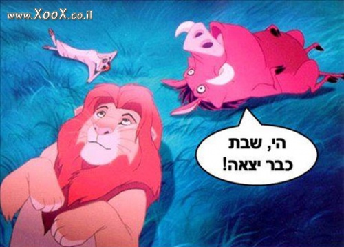 שבת כבר יצאה?